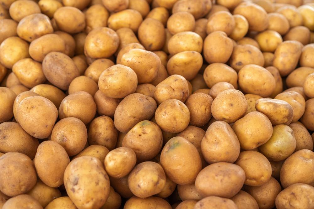 Starch food