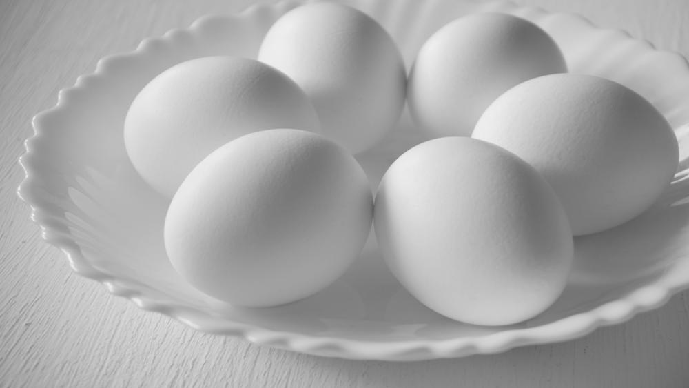 high protein